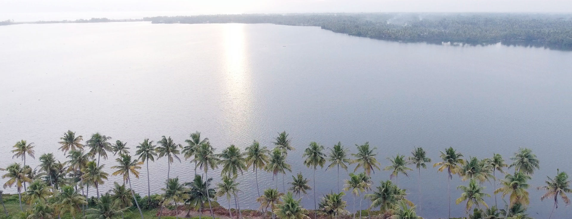 Wings and Wonders- Birdwatching Delights in Ashtamudi Backwaters 