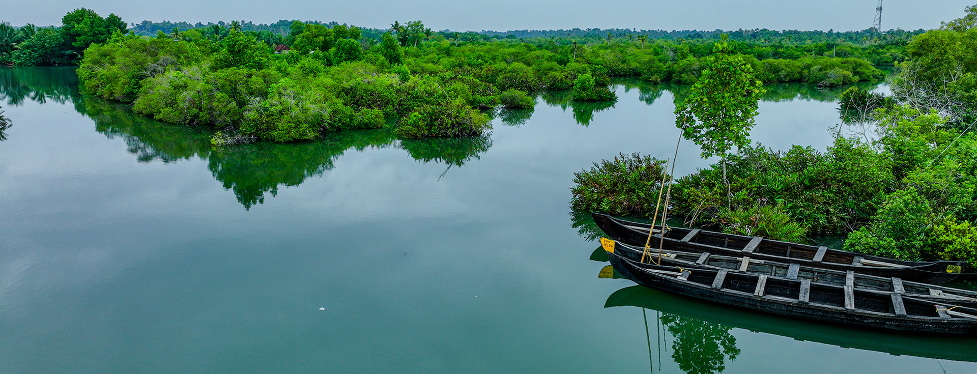 Getting on an inland water cruise to Munroe Island