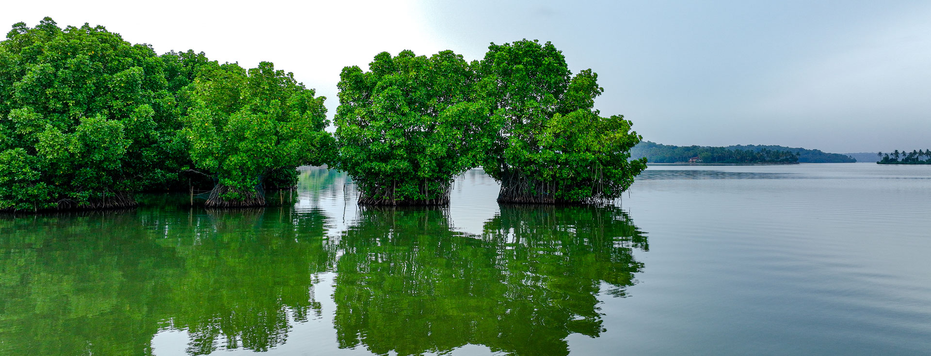Immersing in Nature's Paradise - Ashtamudi, a Haven for Nature Enthusiasts