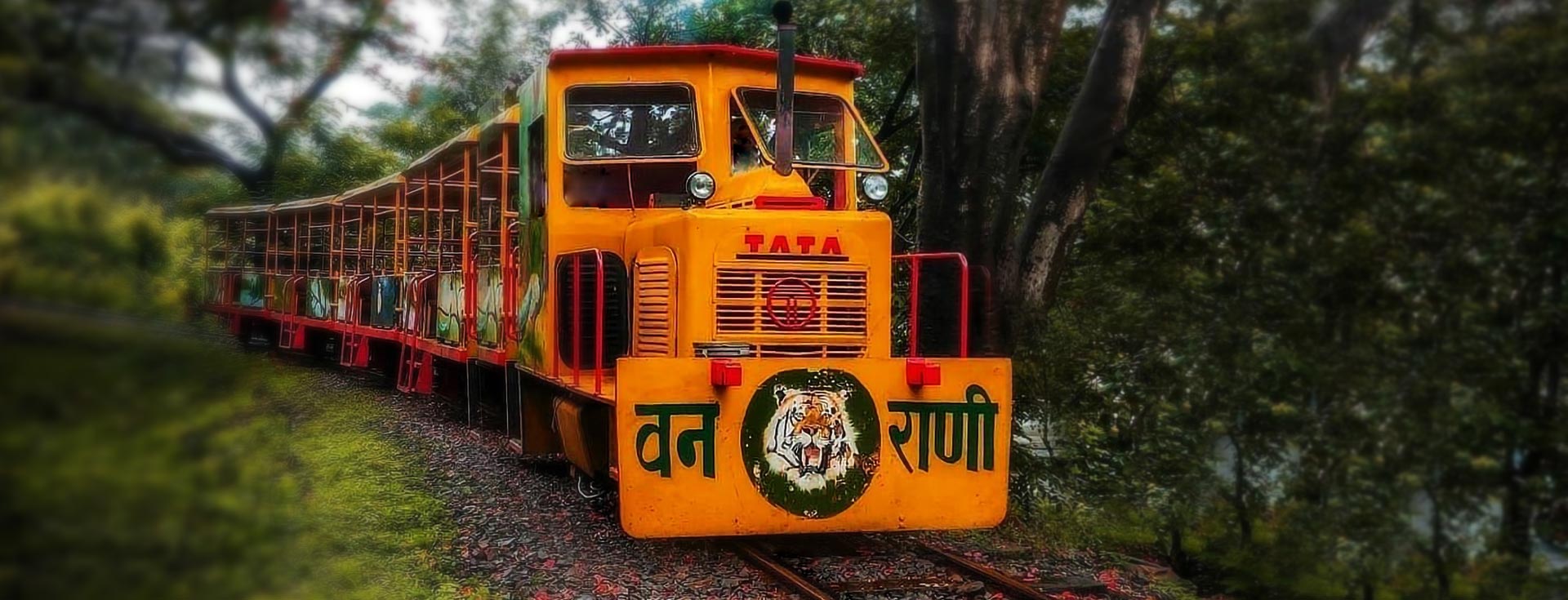 Sanjay Gandhi National Park