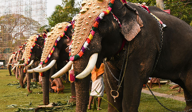 Kerala Arts Crafts Village